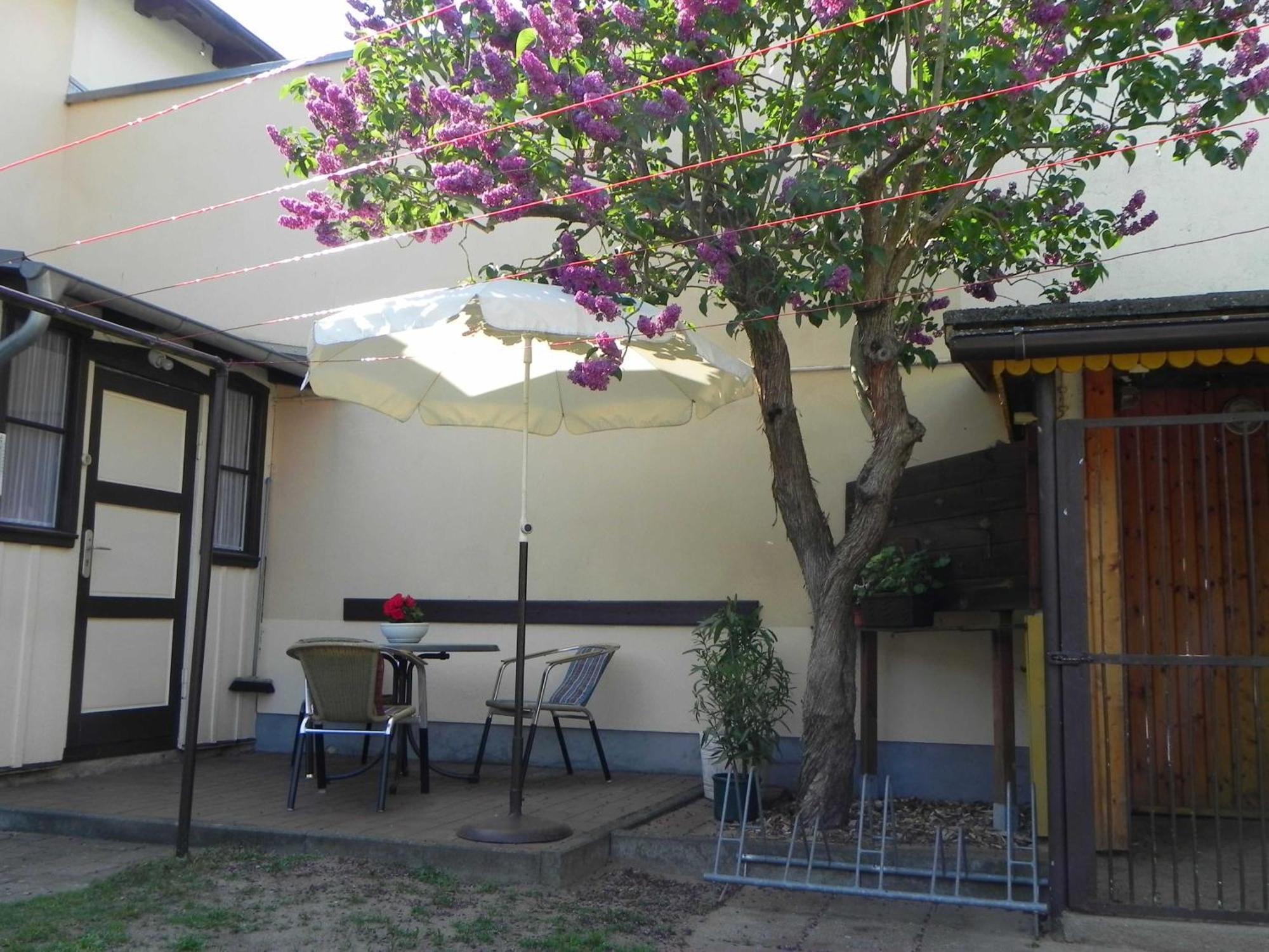 הרינגסדורף Ferienwohnung Gaertner מראה חיצוני תמונה